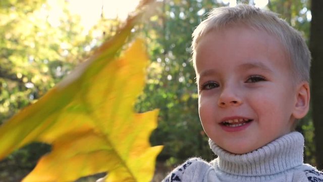 Fair, light-hearted, smiling child playing, hiding behind yellow fallen leaf