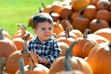 Fototapeta premium Toddler age boy in pumpkin patch