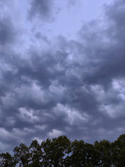 Obraz na płótnie Canvas Storm clouds above trees