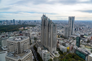 Fototapeta na wymiar 東京都庁から見る新宿の街並み