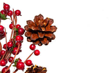 Composition of red New Year berries and cones on a white background. Place for your text.