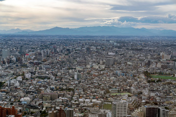 東京都庁から見る新宿の街並み