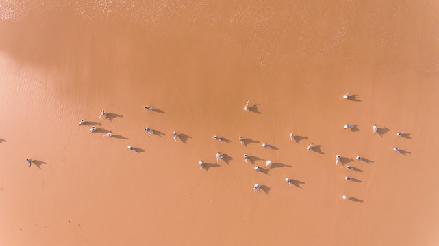 Aerial View Of Waves And Beaches At Sunset Along The Great Ocean Road, Australia