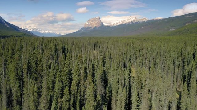 Aerial: Flying over the Bow River and Forest in the Canadian Rocky Mountains. Banff,  Alberta, Canada. 
