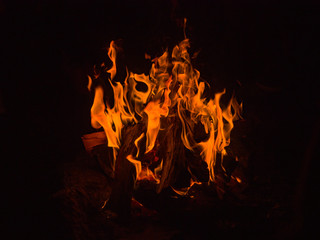Bonfire flame on a dark background. Orange flames burn in the dark