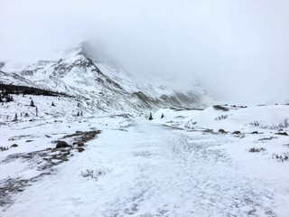 A closeup view of the frozen snowy trail leading towards the athabasca trail along the columbia icefield parkway in Jasper National Park, Alberta, Canada