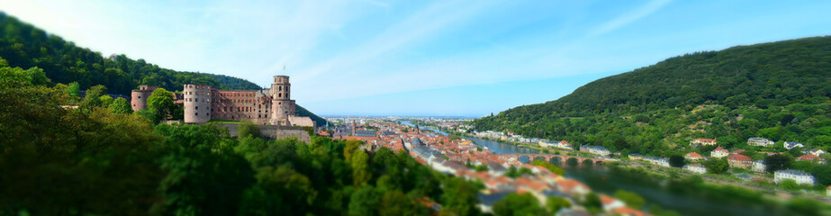 Fototapeta na wymiar View of German City, Heidelberg, with river, old town, bridge, castle. 