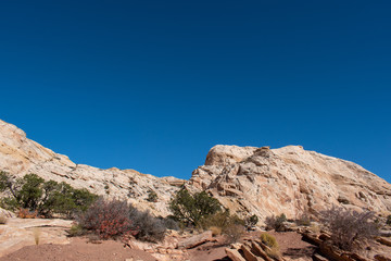 Canyon desert in utah with red and white sandstone