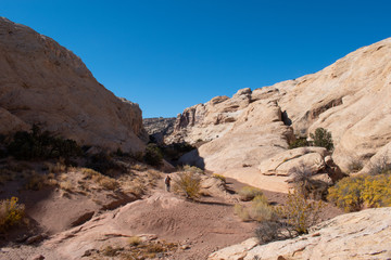 Canyon desert in utah with red and white sandstone