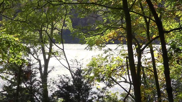 View of Lake of the Ozarks, Missouri. Looking through trees that are just starting to change colors for Fall. Zoom out for larger view, a couple leaves fall through the air. The lake glistens in sun.