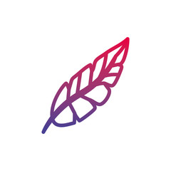 feather bird fantasy line gradient icon