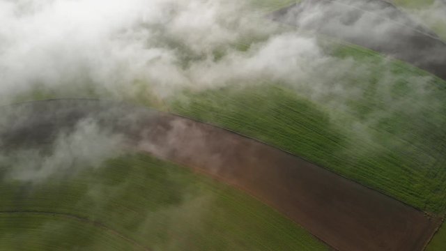 A morning with fog in a rural area of Luxembourg with an unpaved road. Aerial shot.