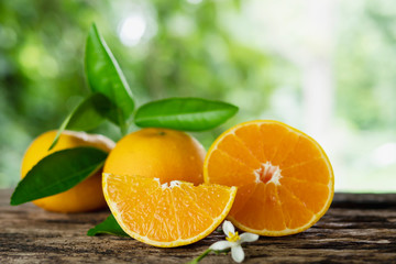 Fresh juicy orange fruit set over green nature background - tropical orange fruit for background use
