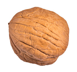 whole walnut on an isolated white background