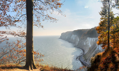 Stubbenkammer, Kreidefelsen, Nationalpark Jasmund, Insel Rügen