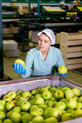 Young woman working at fruit warehouse, checking apples in boxes before storage or delivery to stores