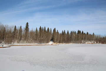 Fototapeta premium Frozen Bay, Elk Island National Park, Alberta