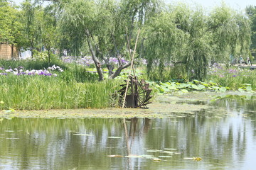 佐原水生植物園