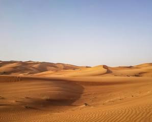 Fototapeta na wymiar Landscape of desert in Dubai, sand dunes which lack of water and vegetation in hot weather under the blue sky in daylight, and rapid temperature change between day and night when darkness revisited.