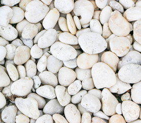 The white stone texture