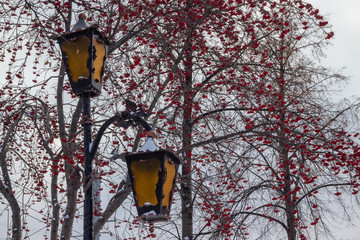 Two beautiful wrought iron yellow street lamps made of metal against the backdrop of an autumn...