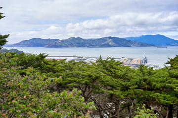 Fototapeta na wymiar San Francisco, CA, USA - May 15, 2018: View of the San Francisco Bay from the observation deck of Columbus. Hilly terrain, cloudy, Golden Gate Bridge visible through tree crowns