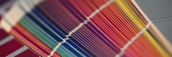 Color print of pantone statistics offset organization gives customer an order