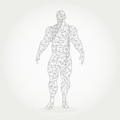 Fototapeta na wymiar Bodybuilder silhouette. Icon of the posing athlete. Molecule and communication style icon. Connected lines with dots.