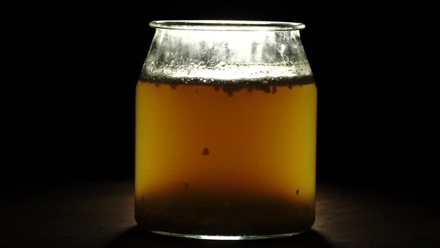 fermentation of the water based kefir. dairy-free or vegan diet beverage