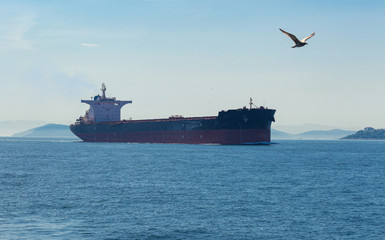 Large cargo ship at sea background