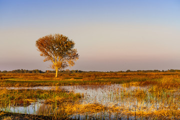 Sunset view of the wetlands of San Luis National Wildlife Refuge, Merced County, California