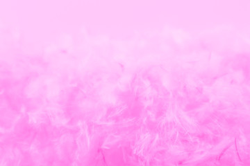 Fototapeta premium Beautiful abstract colorful white and orange feathers on dark background and soft white pink feather texture on white pattern