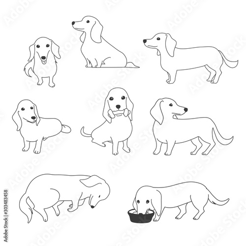 犬 ポーズ 表情 ミニチュアダックスフンド バラエティ Wall Mural さんいんち