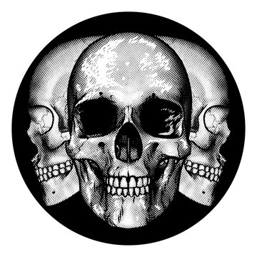 A graphic design featuring three human skulls