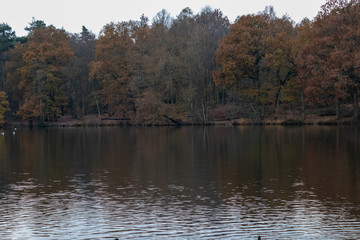 Fototapeta na wymiar A late autumn day in Buchan Park Crawley United Kingdom