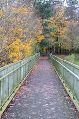 Fototapeta na wymiar A late autumn day in Buchan Park Crawley United Kingdom