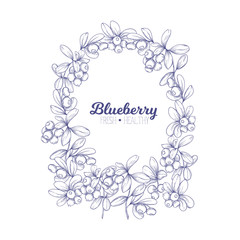 Fototapeta na wymiar Blueberry. Element for design. Good for product label. Graphic drawing, engraving style. Colored vector illustration