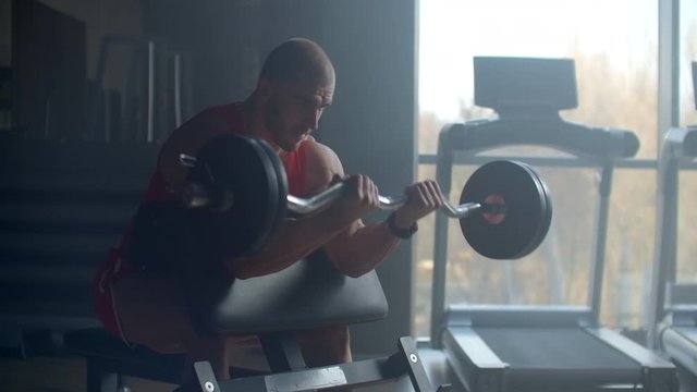 Handsome man doing biceps lifting barbell on bench in a gym