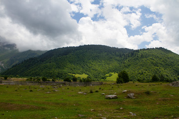 Fototapeta na wymiar Summer landscape in Upper Svaneti, Georgia