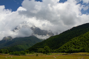 Fototapeta na wymiar Summer landscape in Upper Svaneti, Georgia