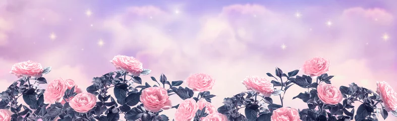 Afwasbaar Fotobehang Purper Fantasy dreamy background of magical morning or evening sky with fabulous romantic tender pink rose flowers garden, shining stars and mysterious clouds, idyllic tranquil scene, wide panoramic banner