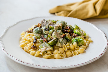 Conchiglie / Conchiglioni Homemade Pasta with Brussel Sprouts, Milk Sauce and Walnuts.
