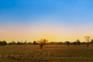 Fototapeta na wymiar sunset in the serengeti