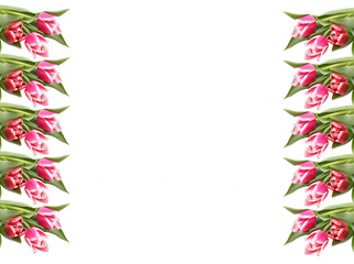 Obraz na płótnie Canvas Pink tulips on the edges of the frame.