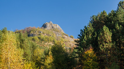 Beautiful nature landscape