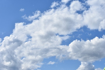 Naklejka na ściany i meble sky blue with white curly clouds