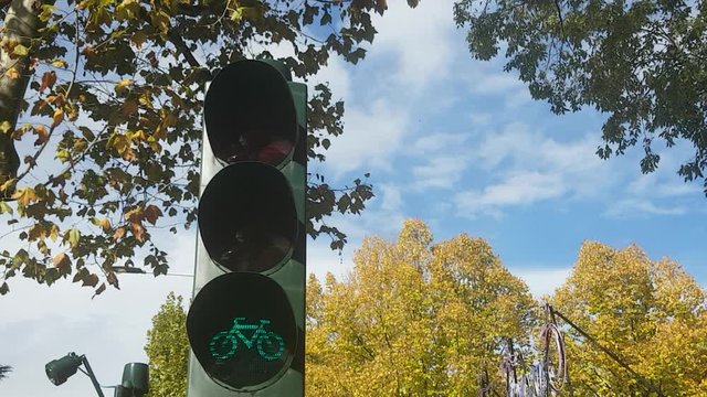 Steady shot of a green ligtning traffic light for cyclists with golden trees in the backgorund. Florence Rifredi metropolitan area