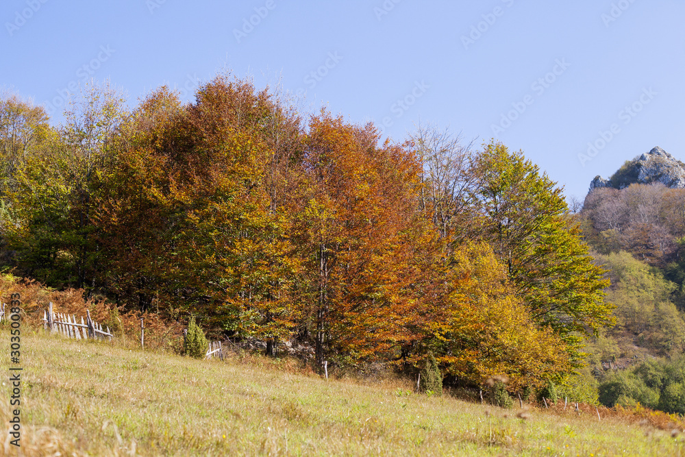 Wall mural Beautiful nature landscape