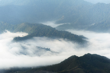 Fog and cloud mountain valley spring landscape - 303500879