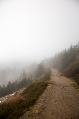 Der Weg in Riesengebirge